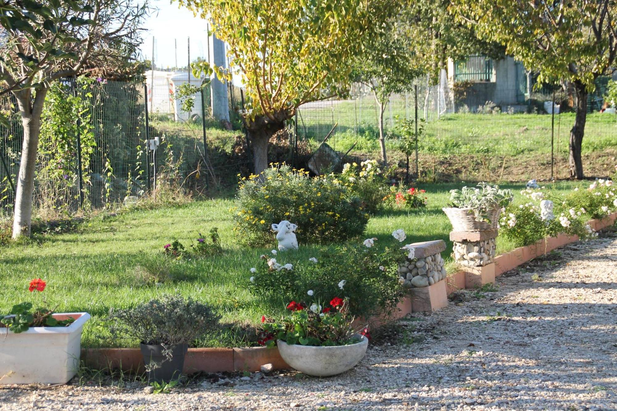 Pepe Rosa Bed and Breakfast Termoli Eksteriør billede